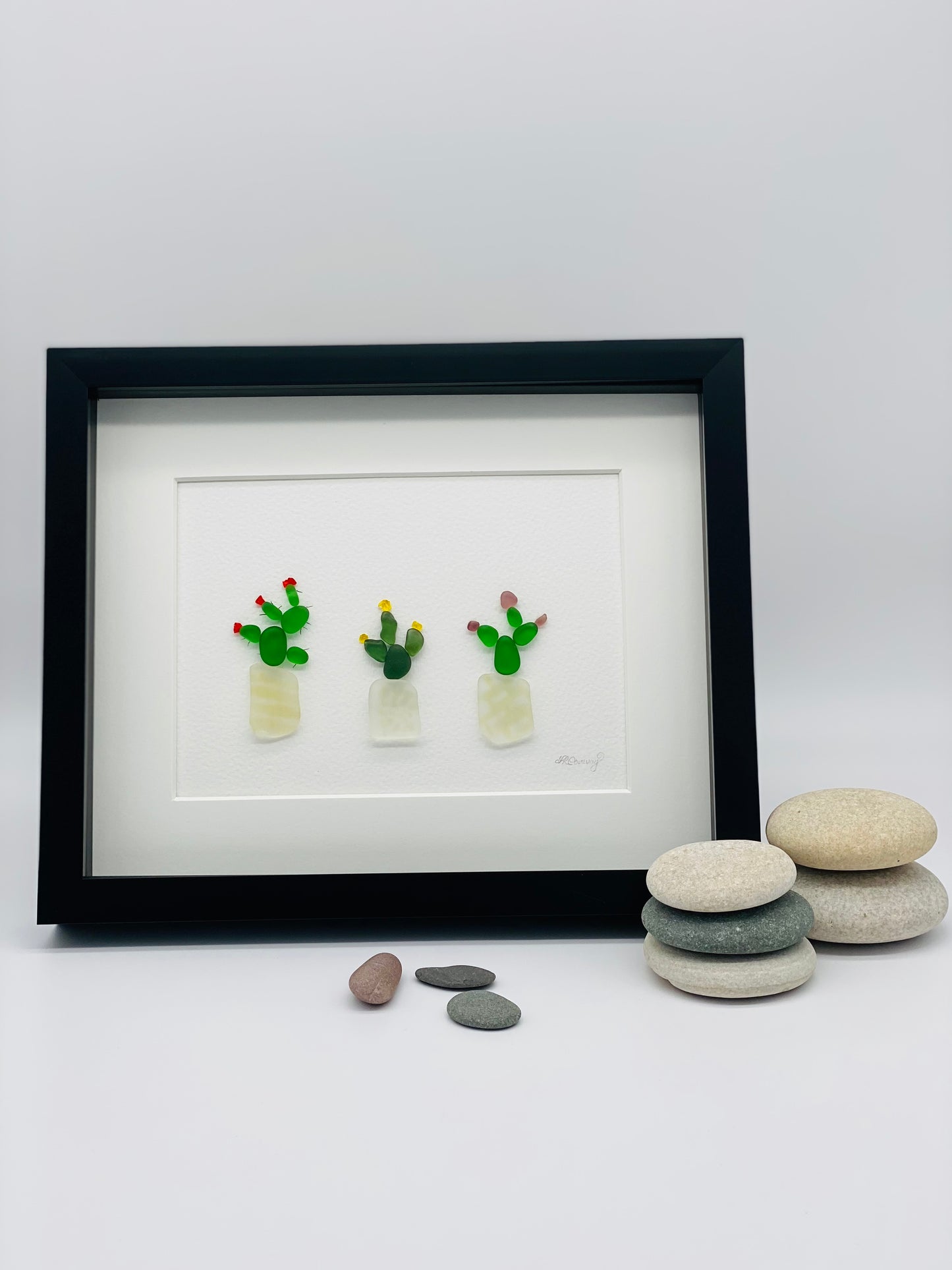 Cactus Trio