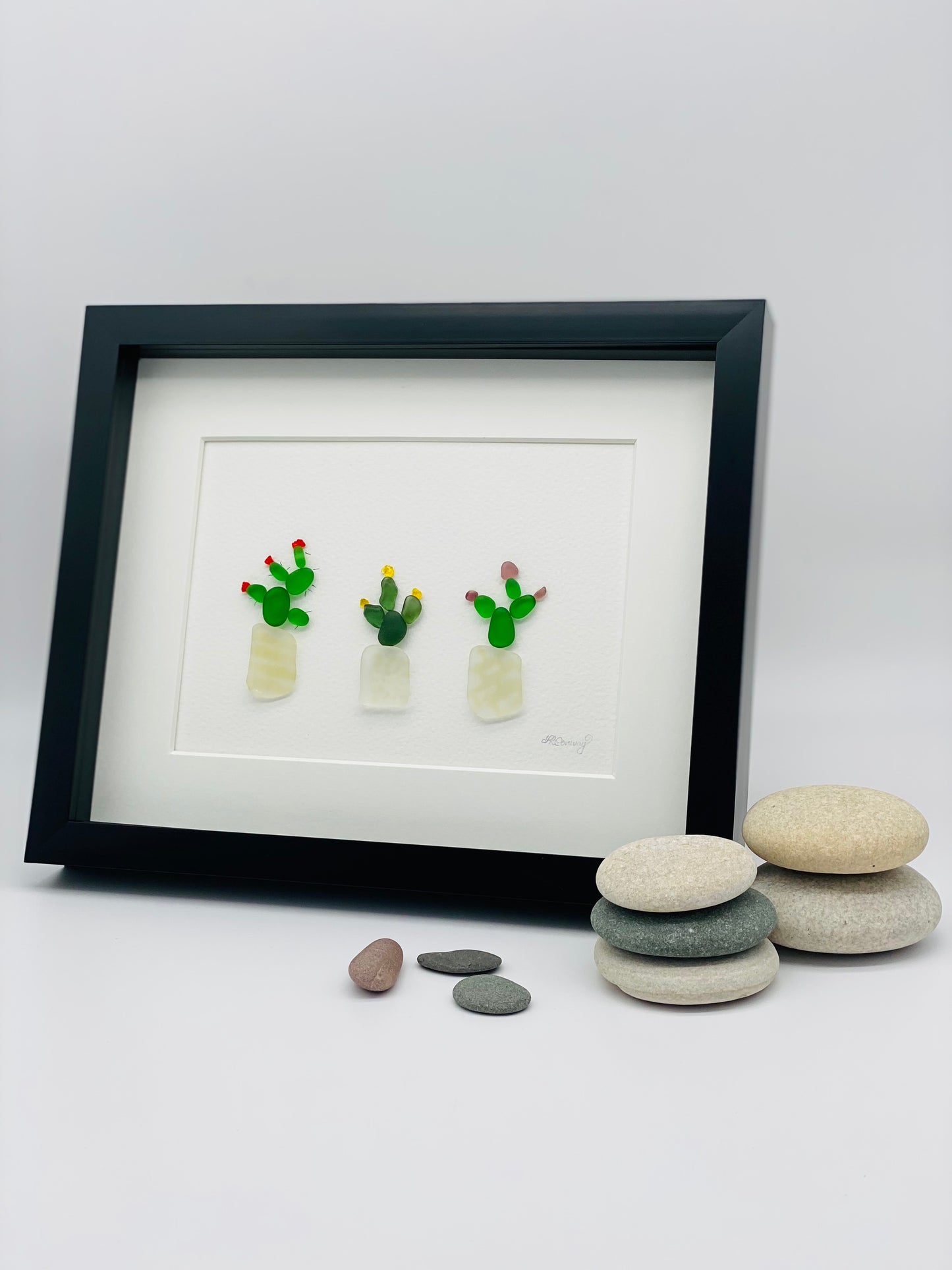 Cactus Trio