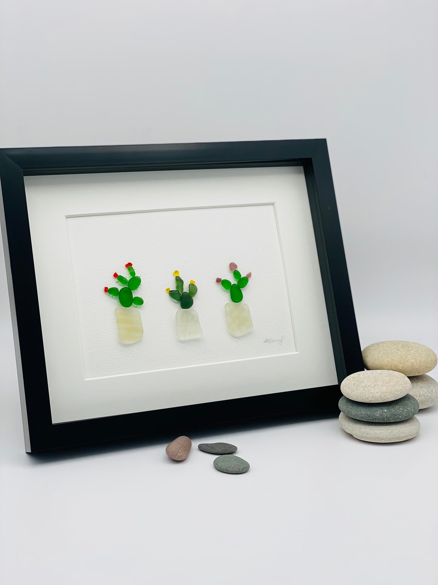 Cactus Trio